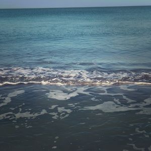 Meet your Posher, KG.